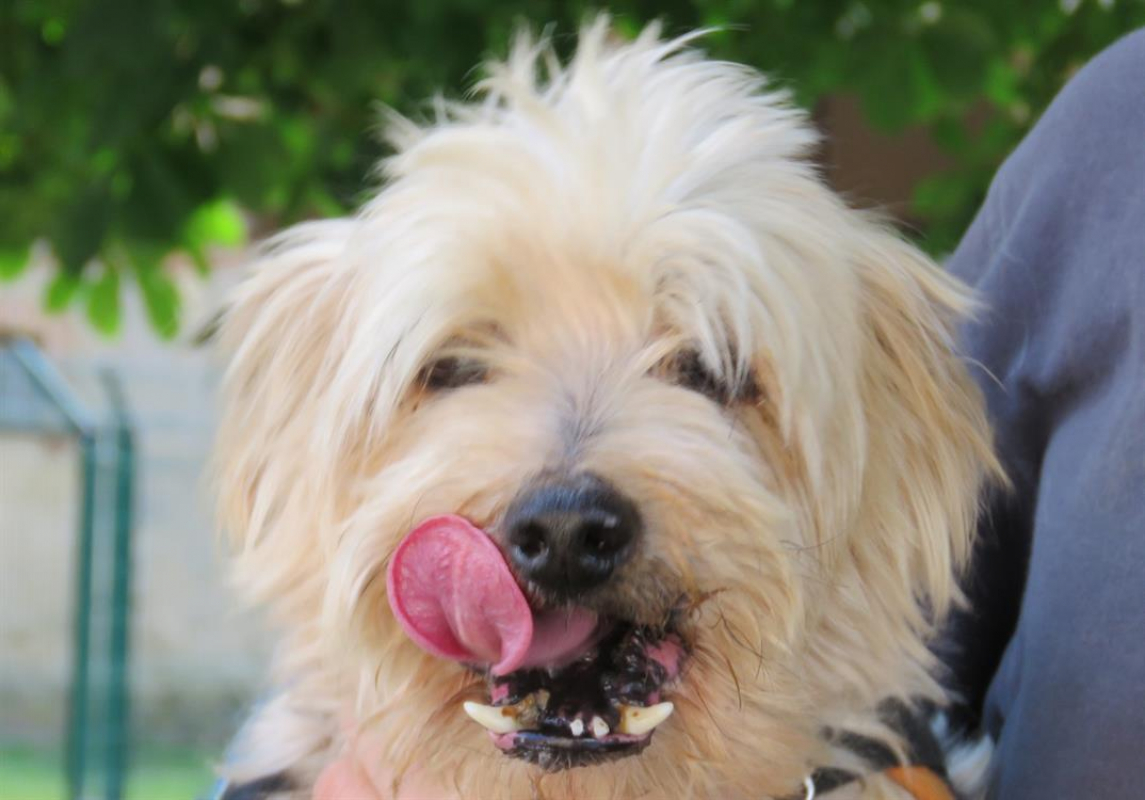 Photo #2 de Echo dit peper