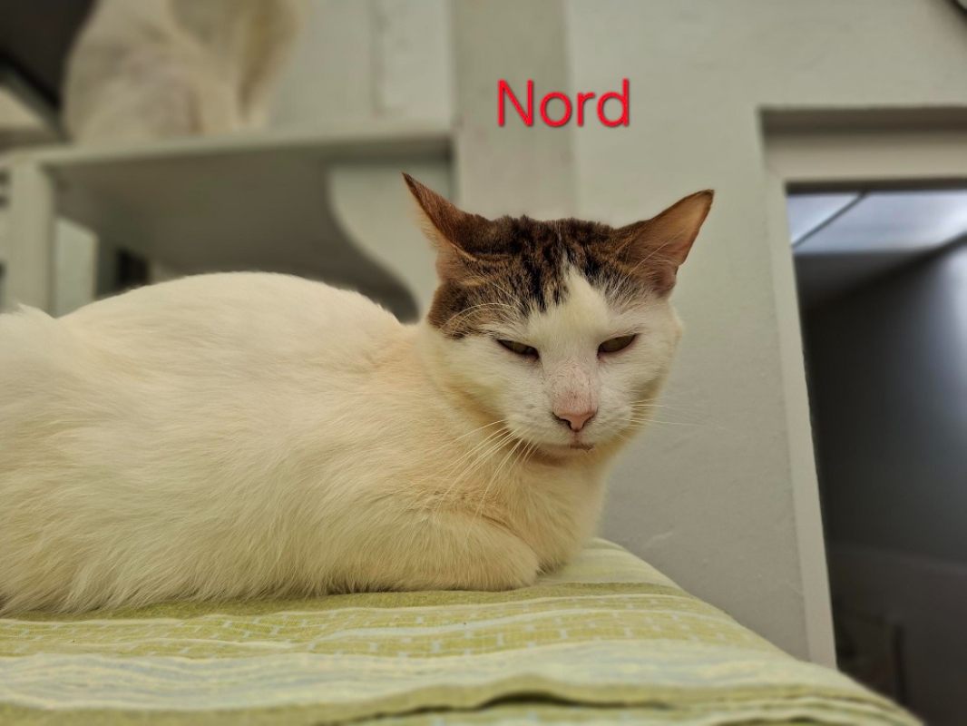 Photo de Nord