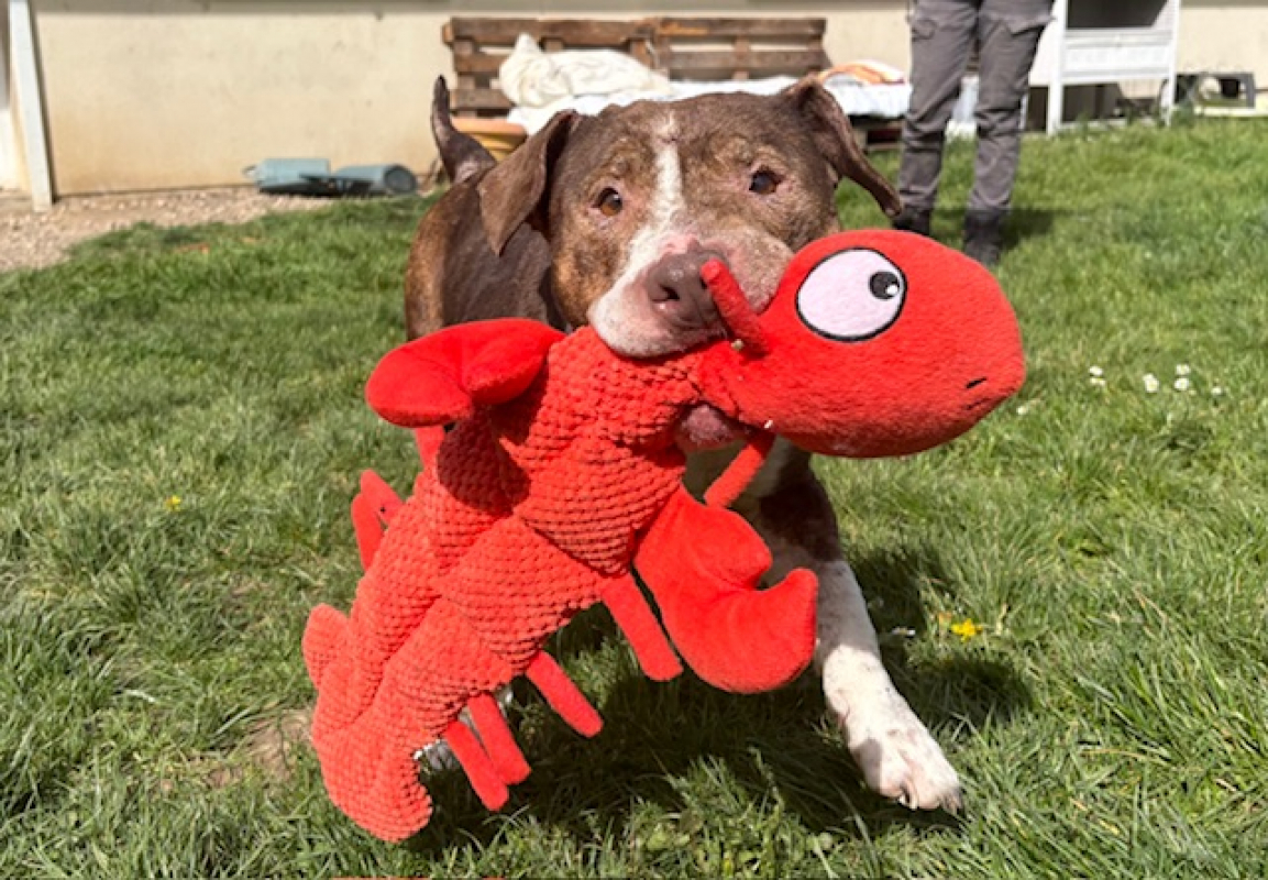 Photo #2 de Ana ex nala