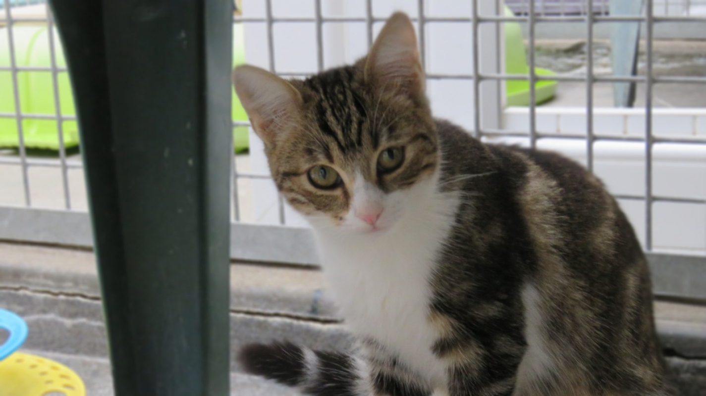 Photo #3 de Charlotte