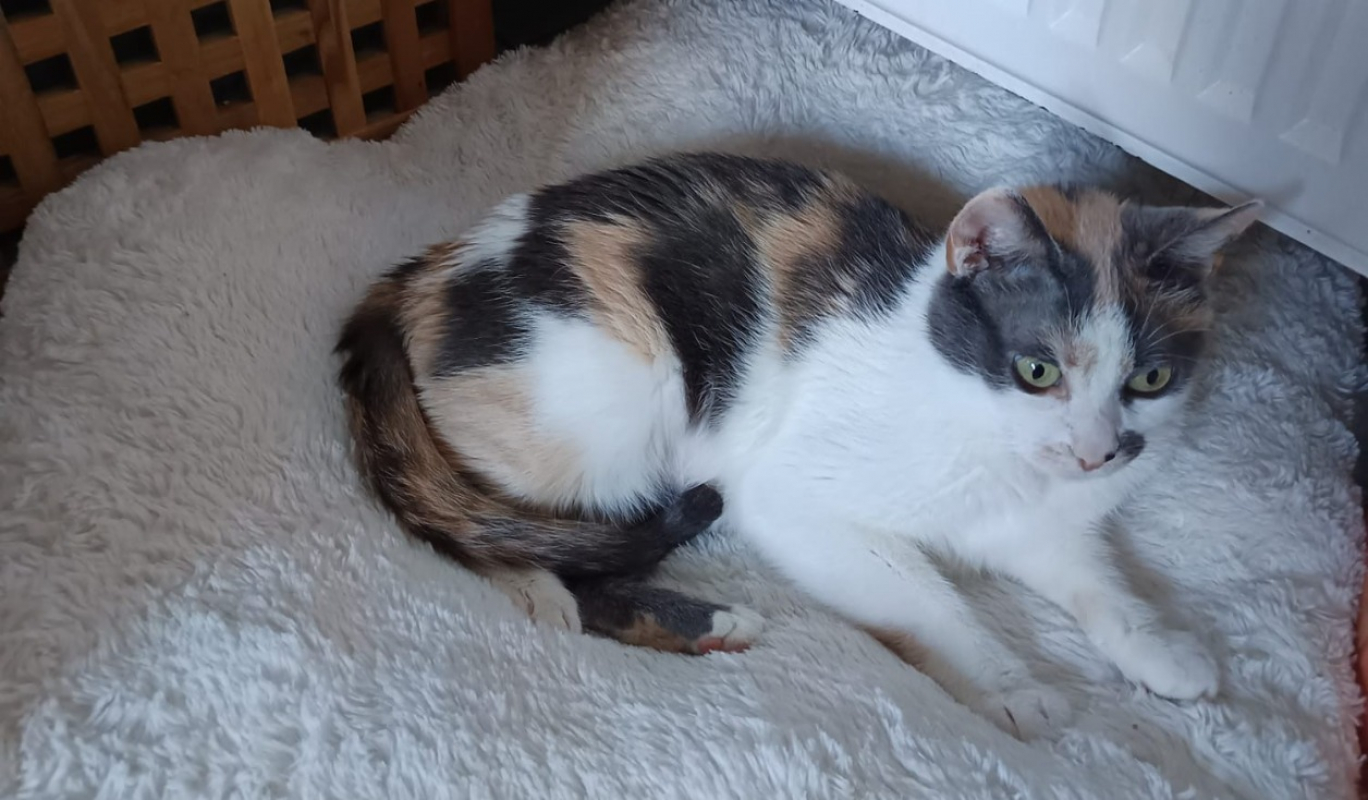 Photo de Minnie