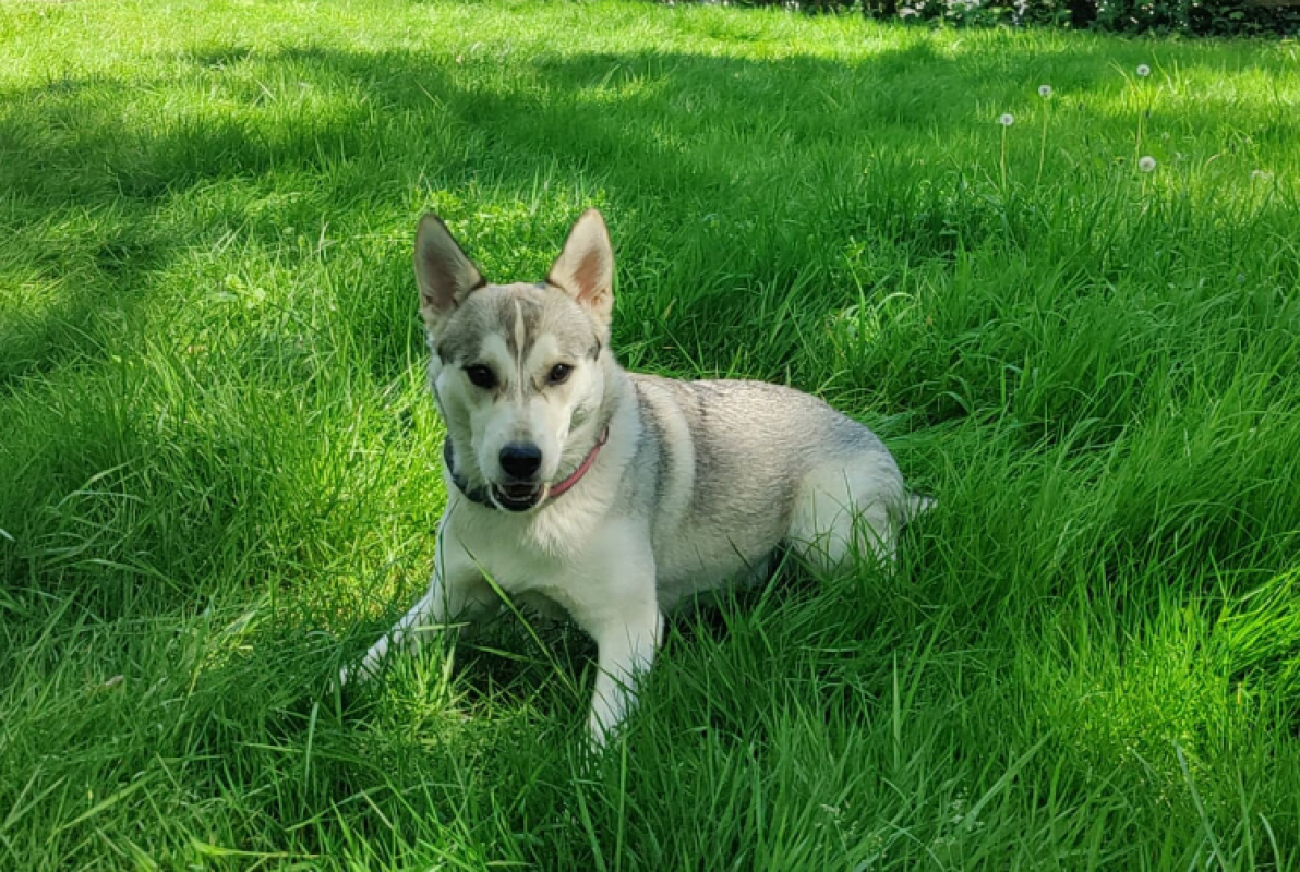 Photo #3 de Mila