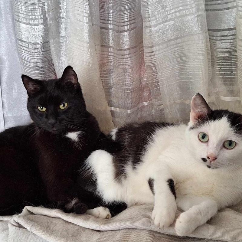 Photo de Elioth et Ness