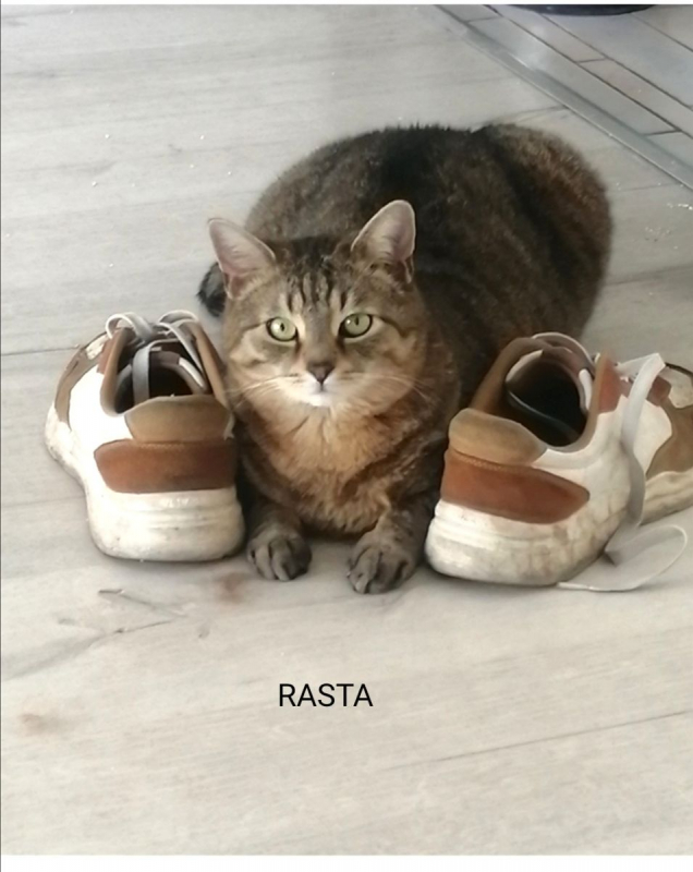 Photo #2 de FARYE et RASTA