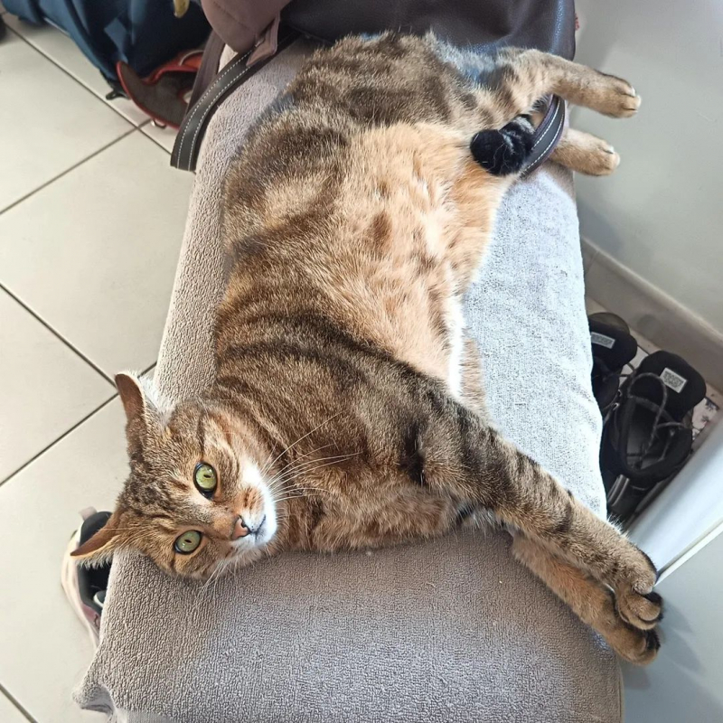 Photo #4 de FARYE et RASTA