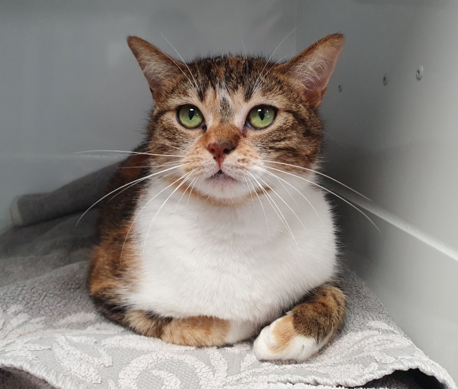 Photo #1 de Brigitte