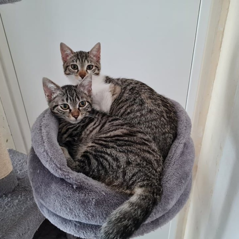 Photo de Shirley et Twiggy