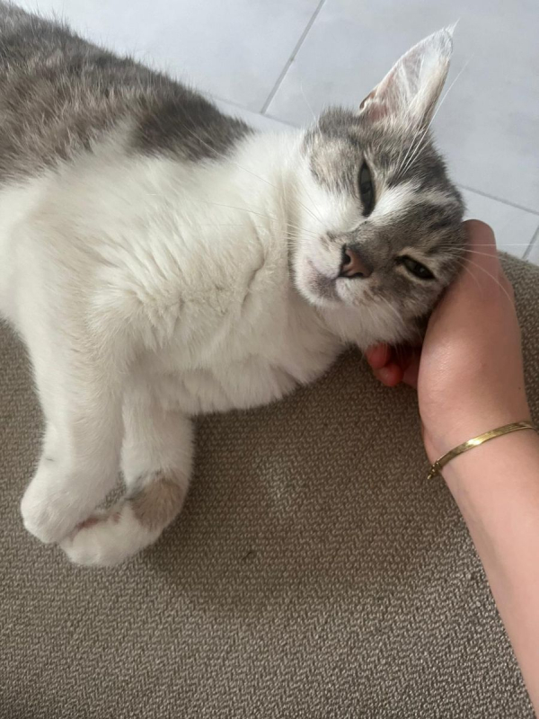 Photo #6 de Scarlette