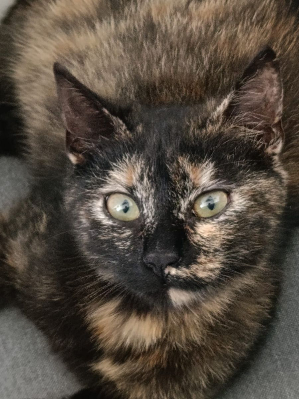 Photo #7 de MISTY et CHAUSSETTE