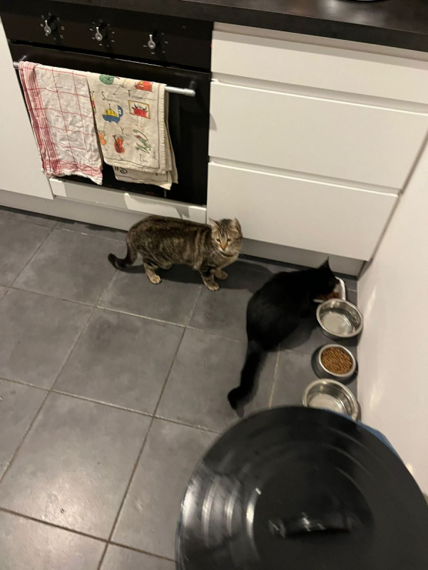 Photo #1 de DAISY et LILOU