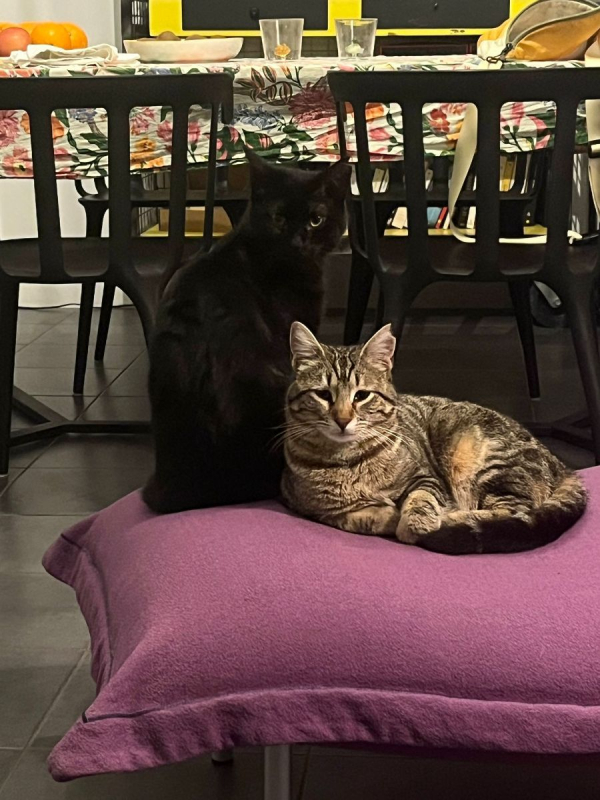 Photo #3 de DAISY et LILOU