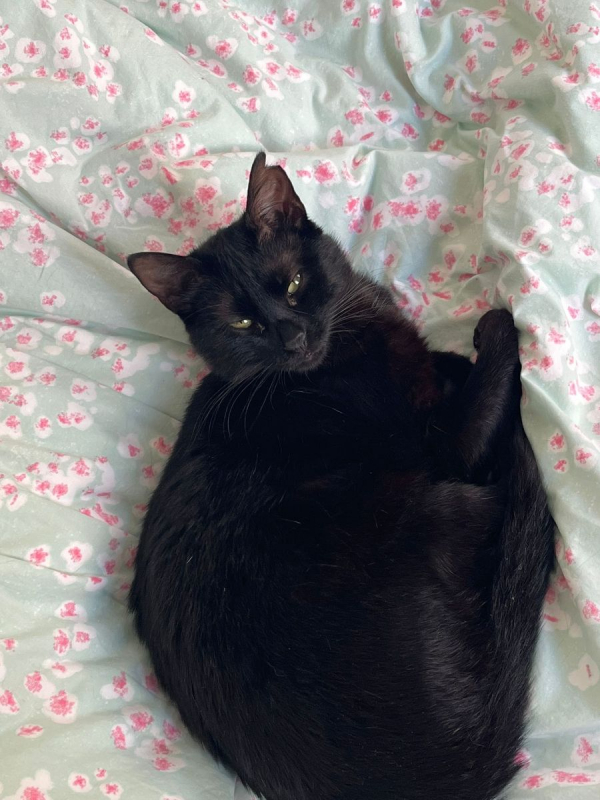 Photo #4 de DAISY et LILOU