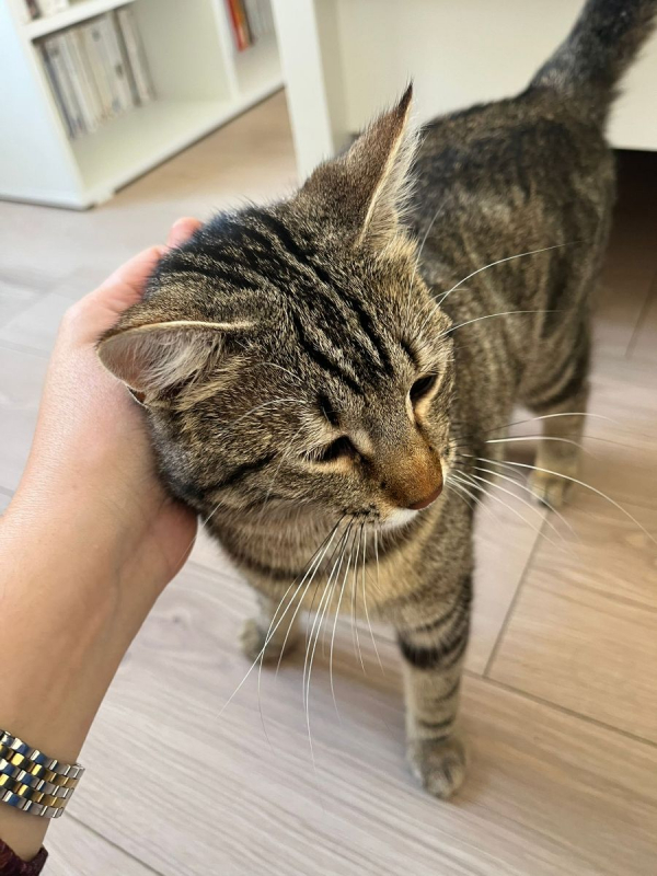 Photo #5 de DAISY et LILOU