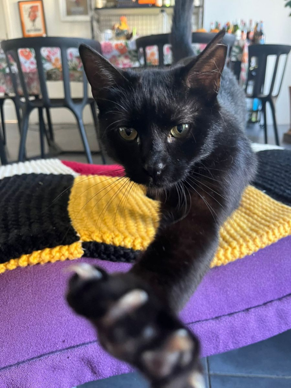 Photo #6 de DAISY et LILOU