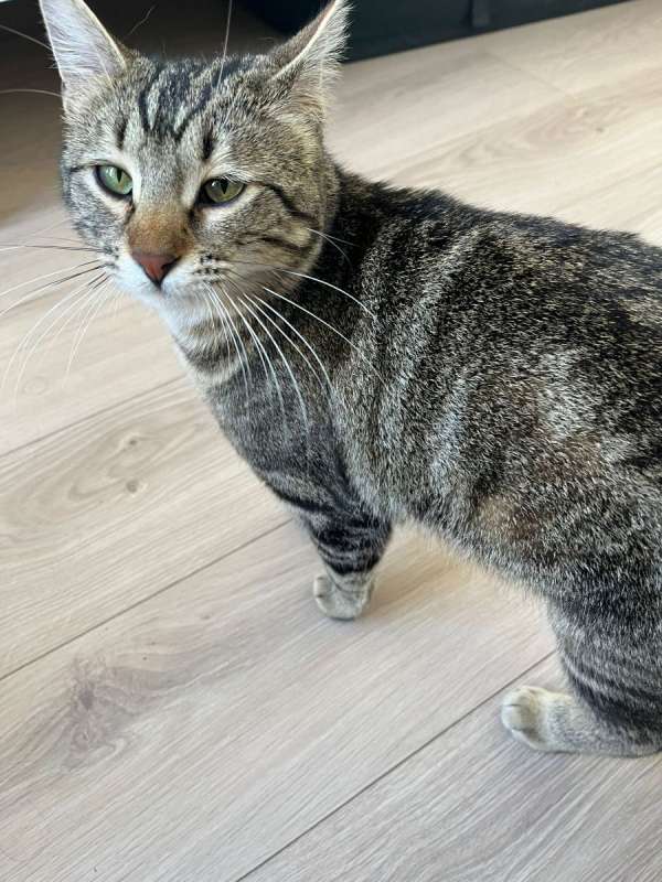 Photo #7 de DAISY et LILOU