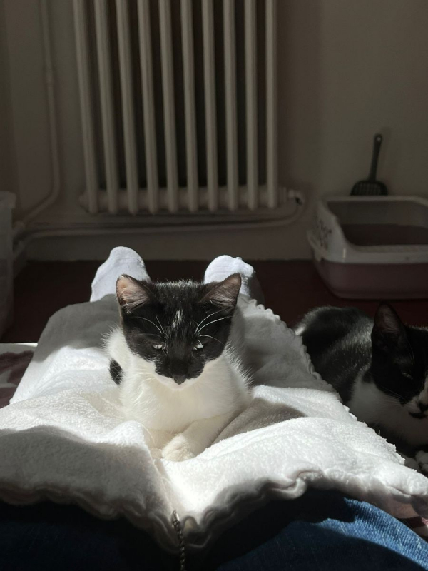 Photo #1 de Kiri et Suzi