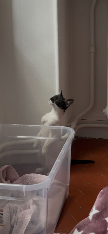 Photo #4 de Kiri et Suzi