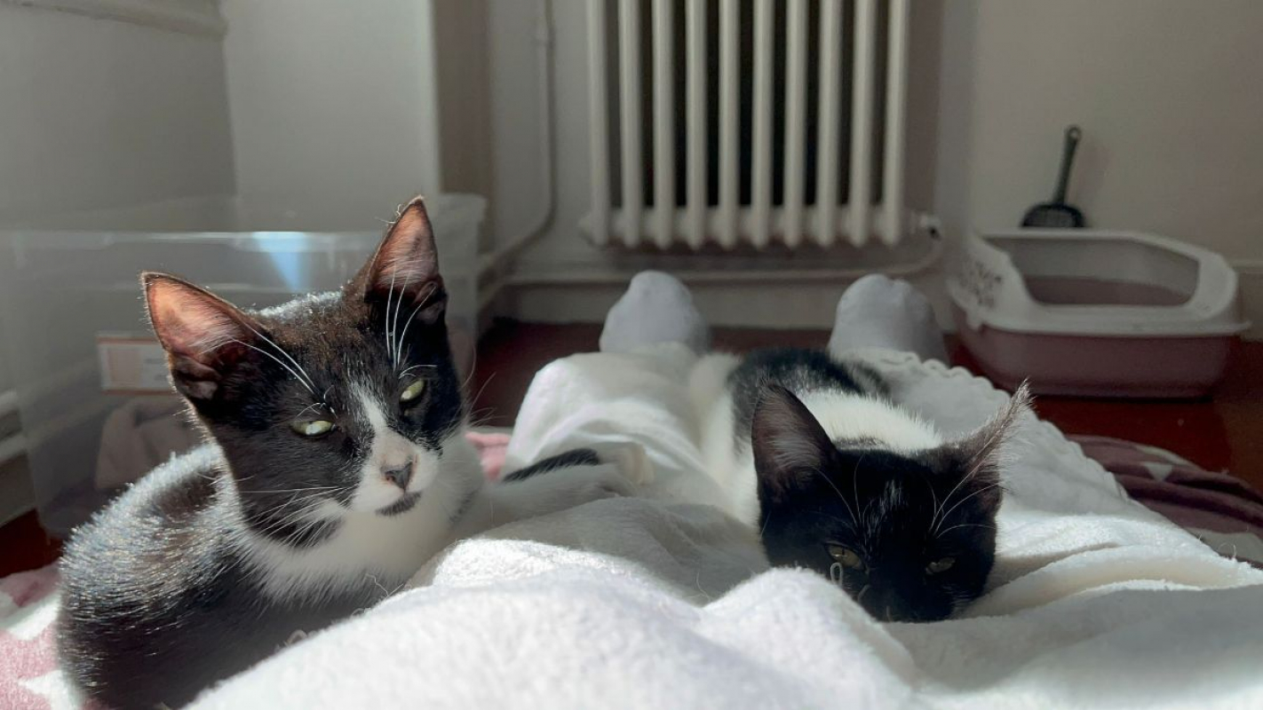 Photo #5 de Kiri et Suzi