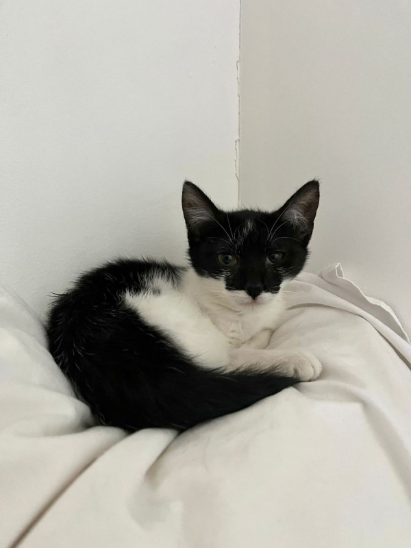 Photo #6 de Kiri et Suzi