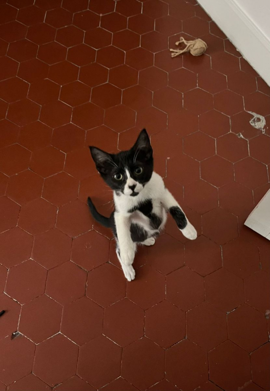 Photo #7 de Kiri et Suzi