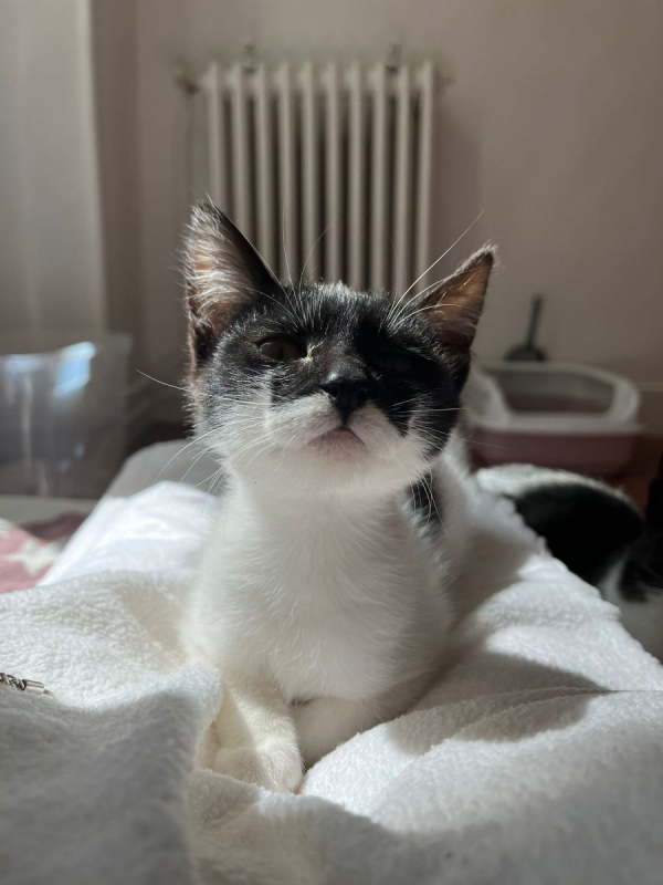 Photo #8 de Kiri et Suzi