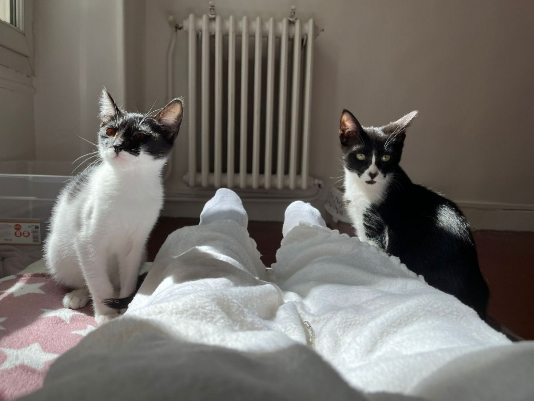 Photo #9 de Kiri et Suzi