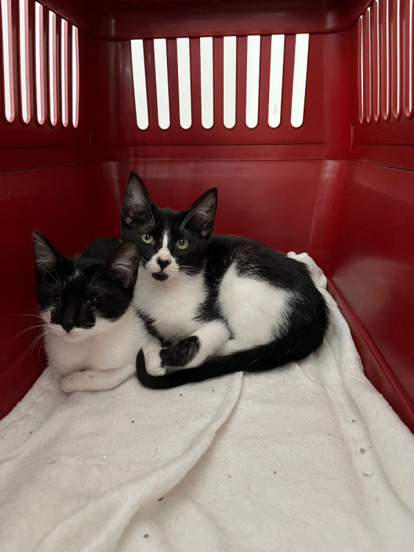 Photo #10 de Kiri et Suzi