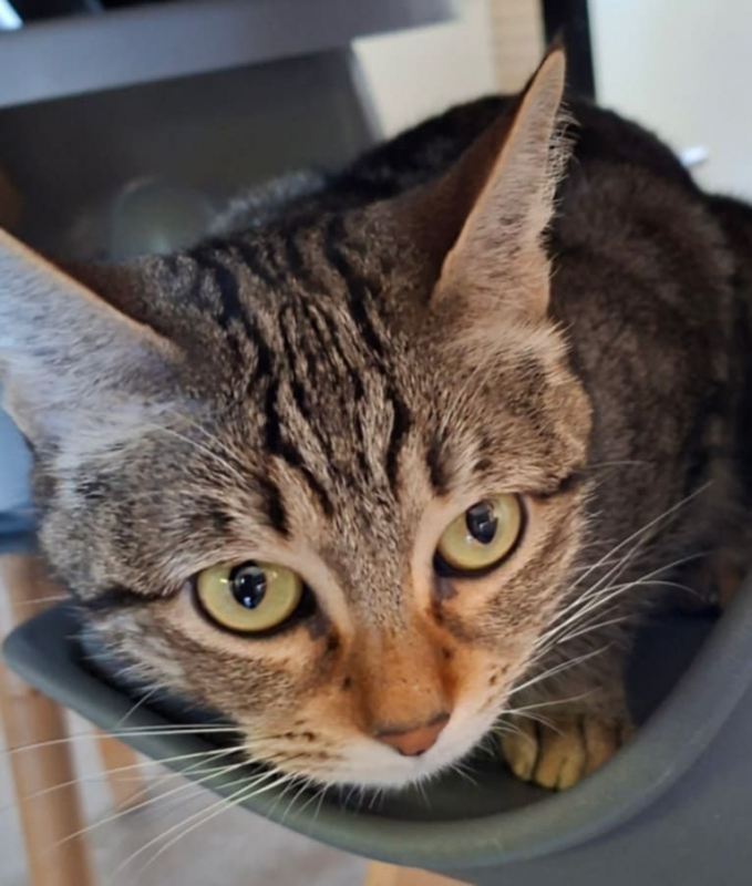 Photo #1 de Ruby et Bella