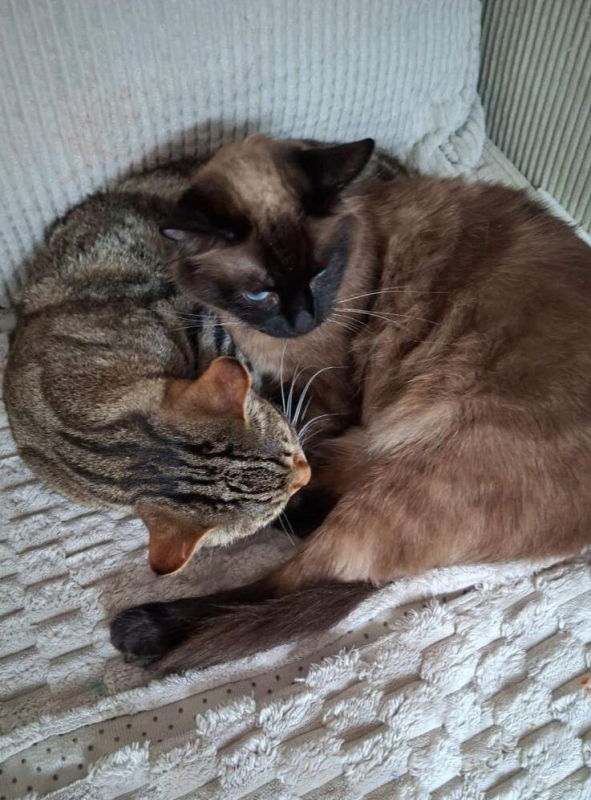 Photo #3 de Ruby et Bella