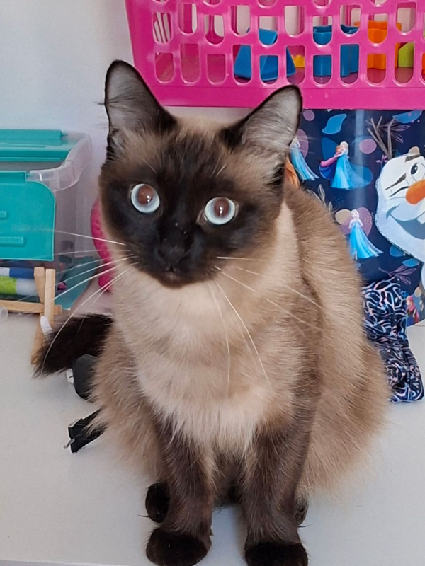 Photo #4 de Ruby et Bella