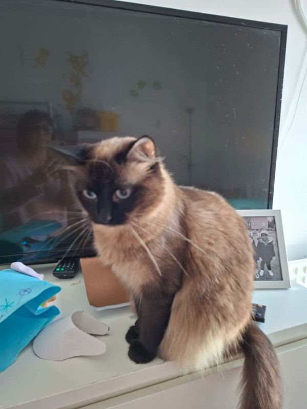 Photo #5 de Ruby et Bella