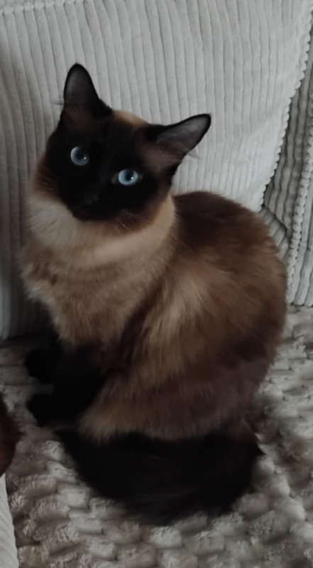 Photo #8 de Ruby et Bella