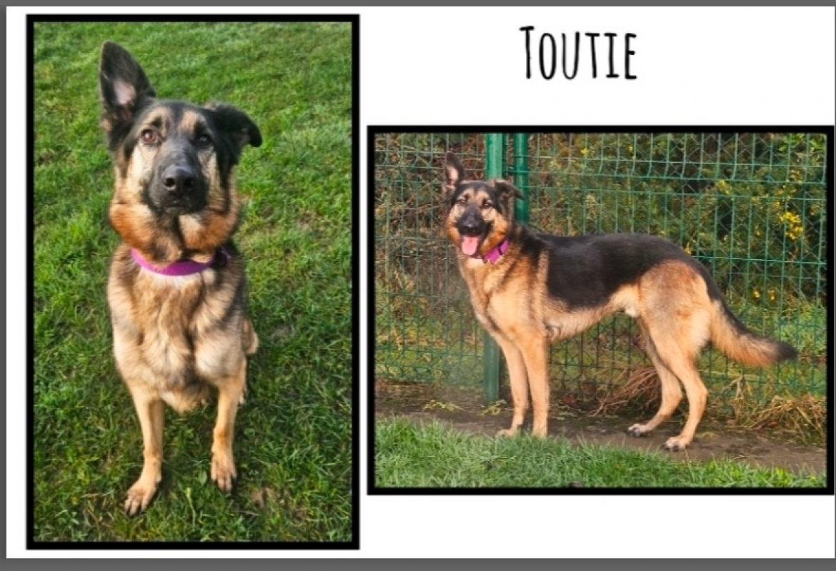 Photo de Toutie