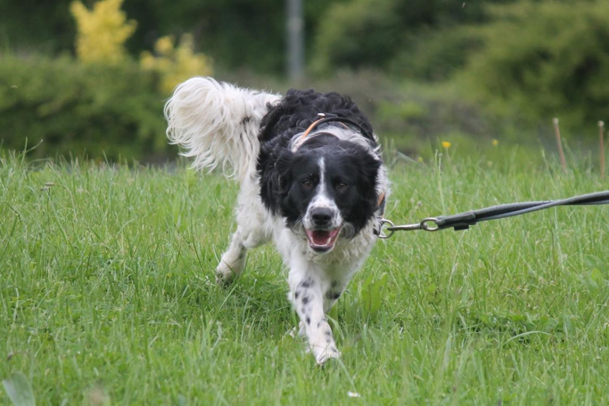 Photo #13 de Dicaprio