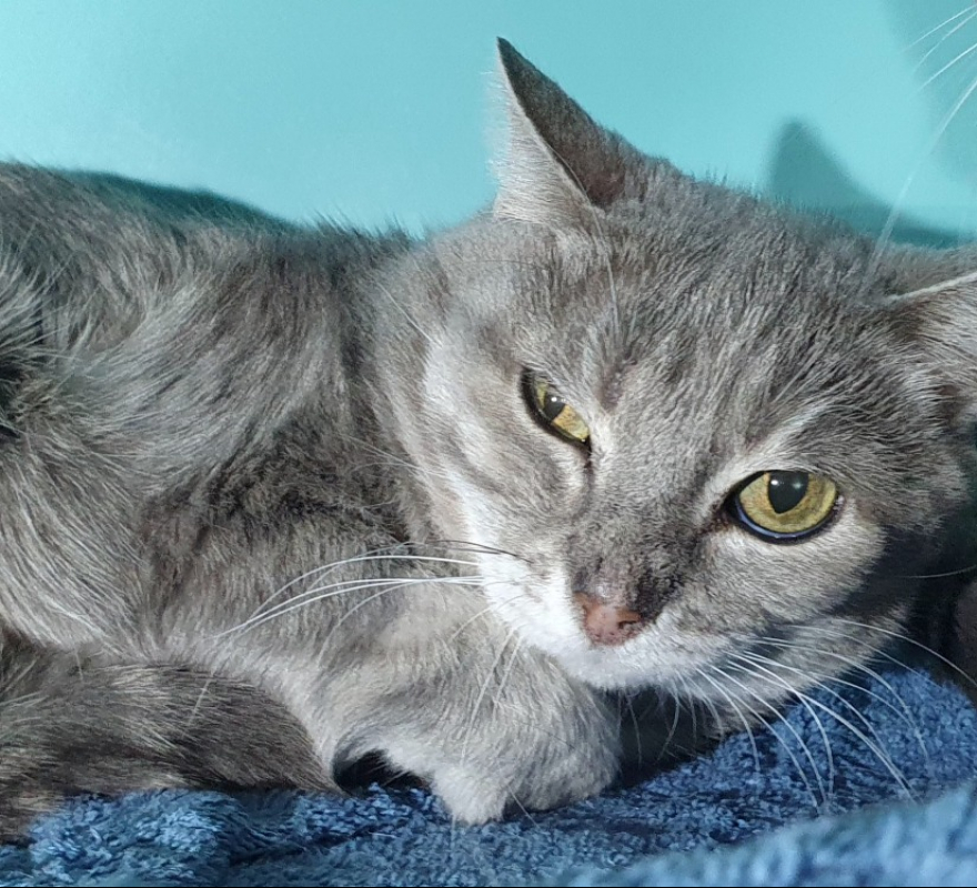 Photo de Christopher cha