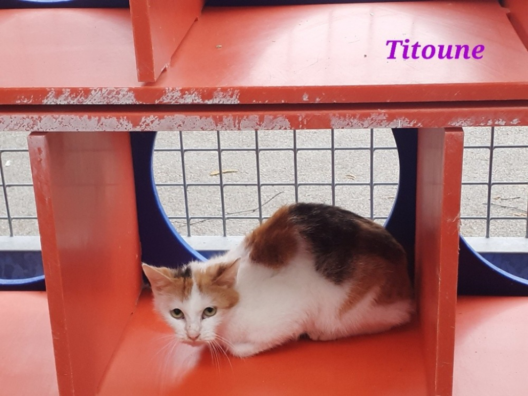 Photo de Titoune