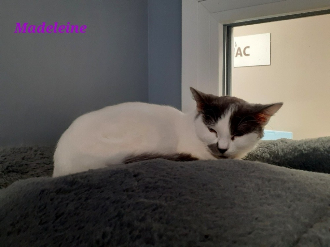 Photo de Madeleine