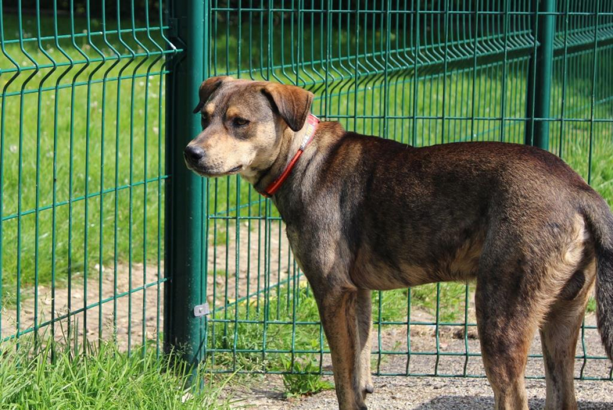 Photo #1 de 0 prince