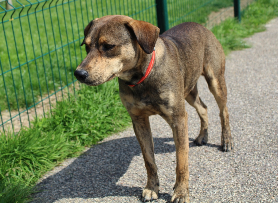 Photo #2 de 0 prince