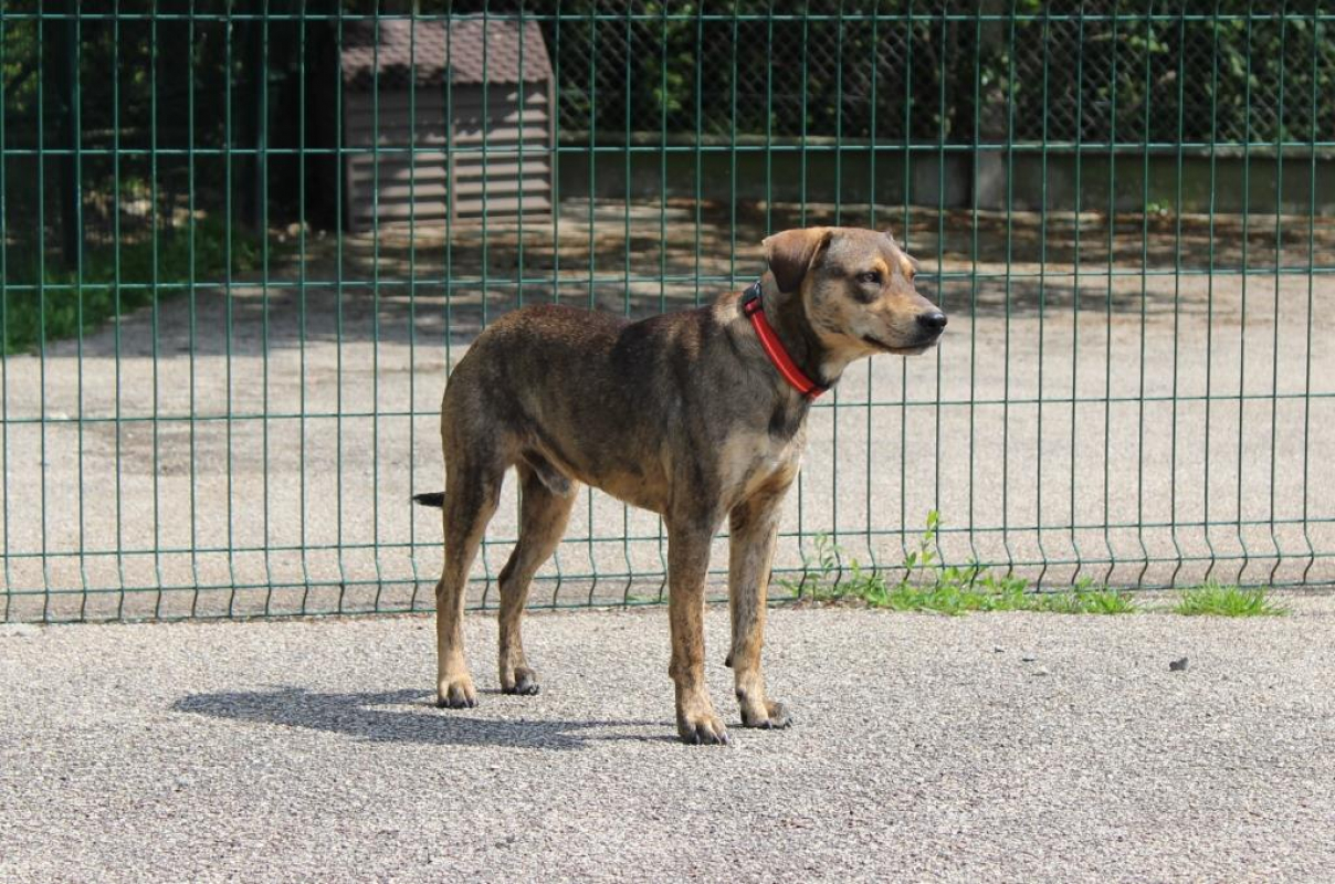 Photo #3 de 0 prince