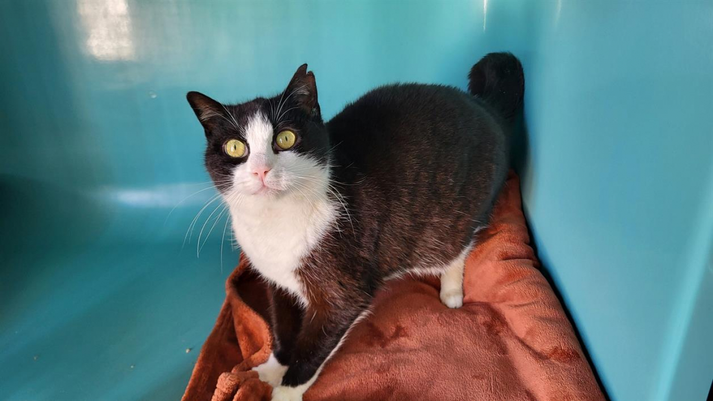 Photo #4 de Charlotte