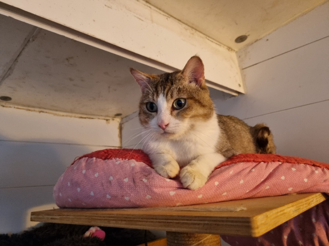 Photo #1 de Winifred