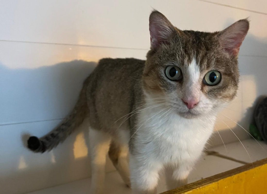 Photo #2 de Winifred