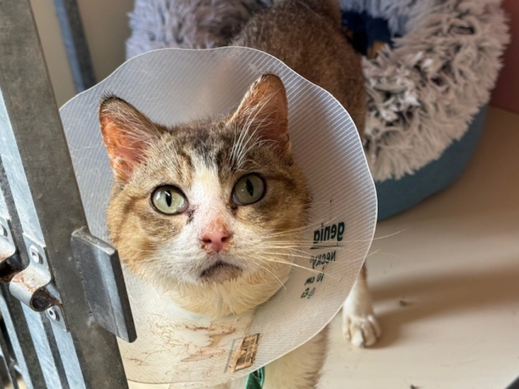 Photo #3 de Winifred