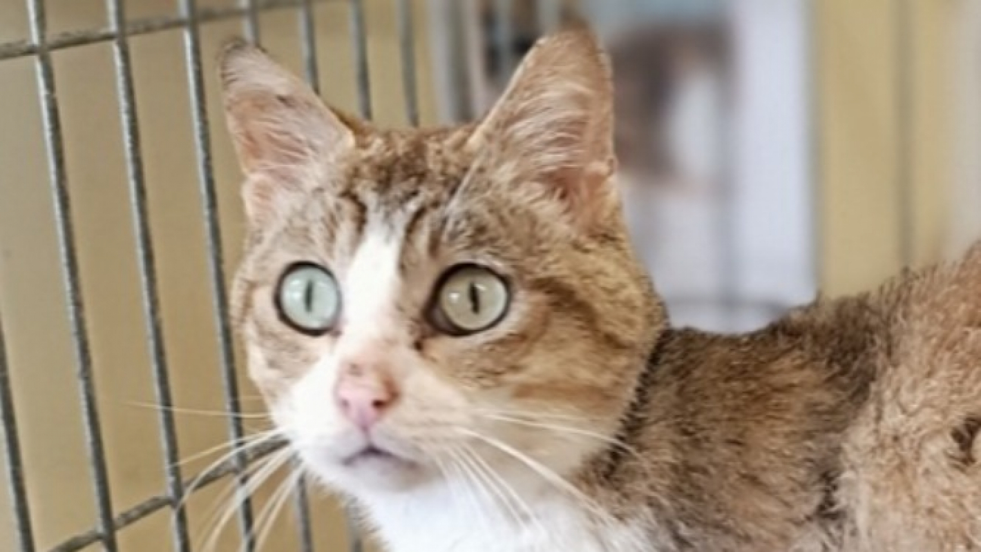 Photo #4 de Winifred