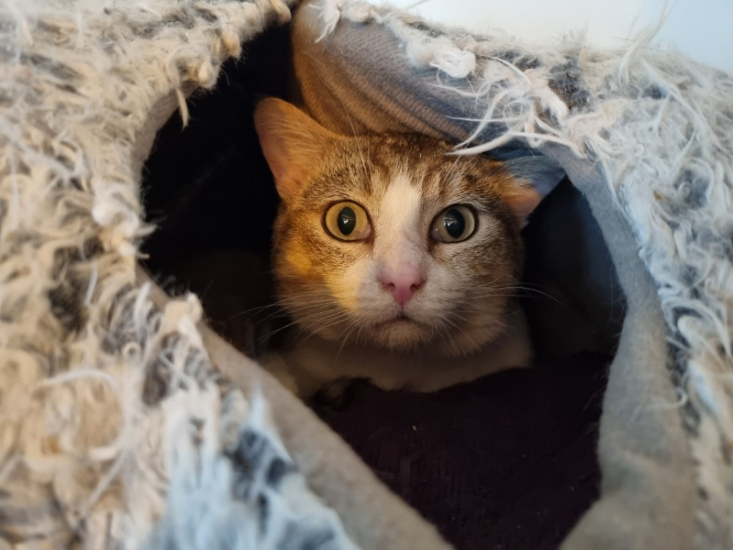 Photo #5 de Winifred