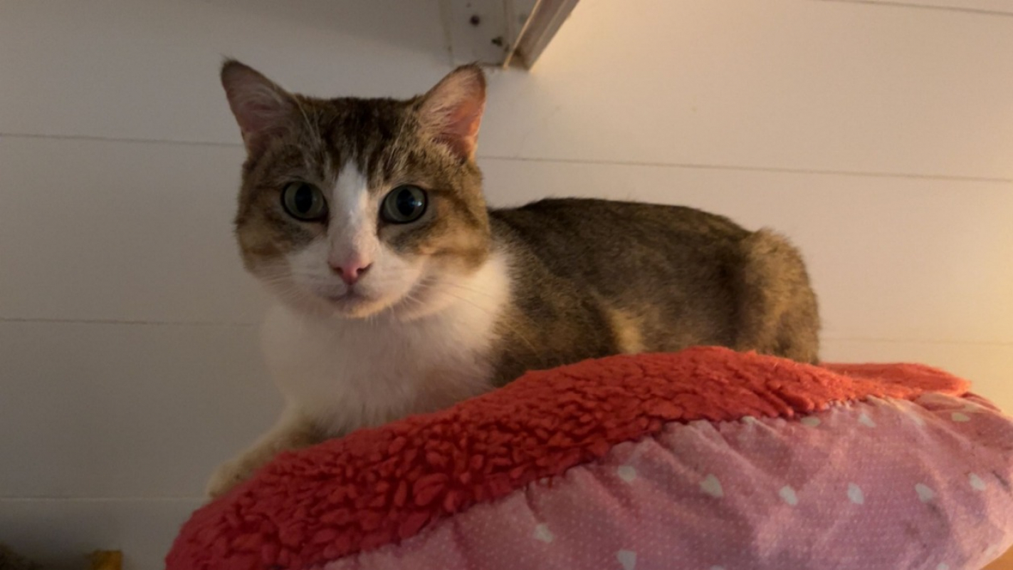 Photo #6 de Winifred