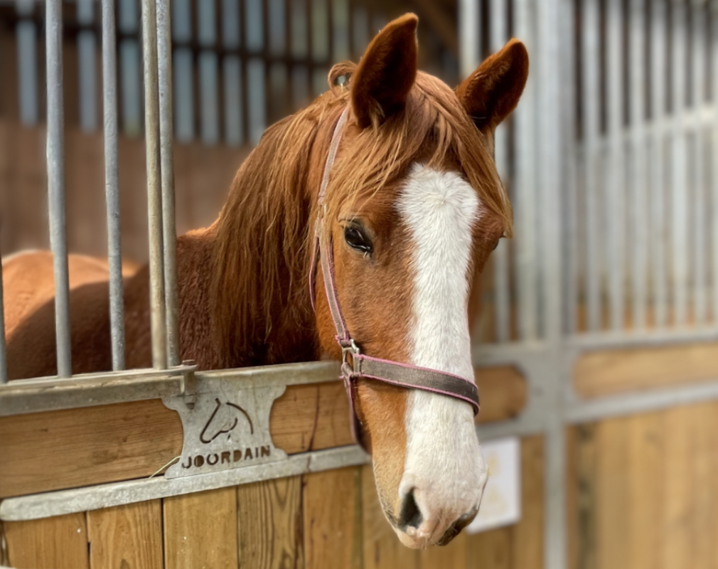 Photo de Hash boum bang