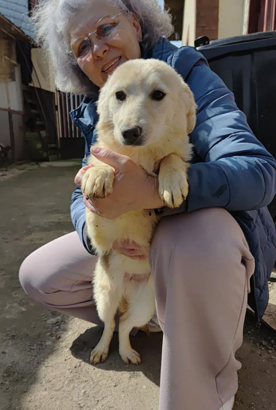 Photo #3 de Amaryllis