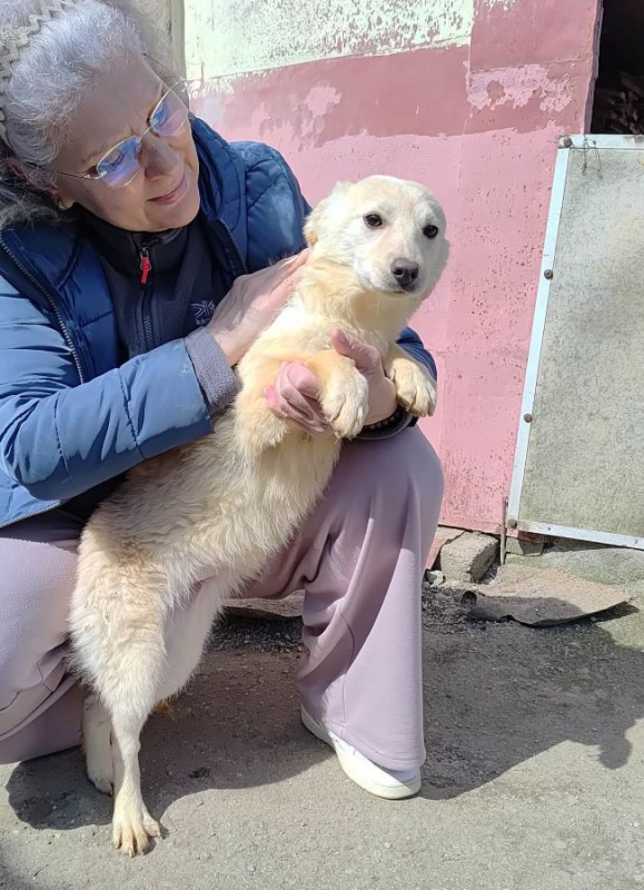 Photo #4 de Amaryllis